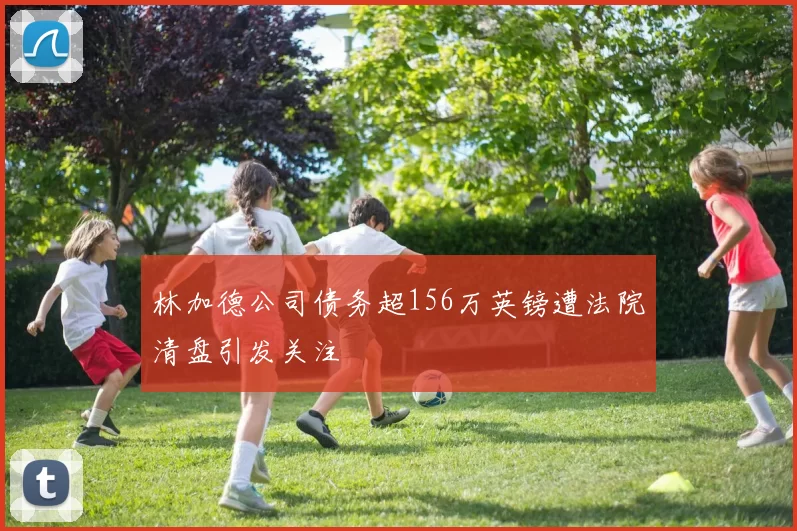 林加德公司债务超156万英镑遭法院清盘引发关注