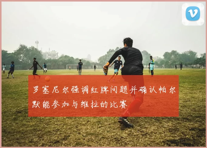 罗塞尼尔强调红牌问题并确认帕尔默能参加与维拉的比赛